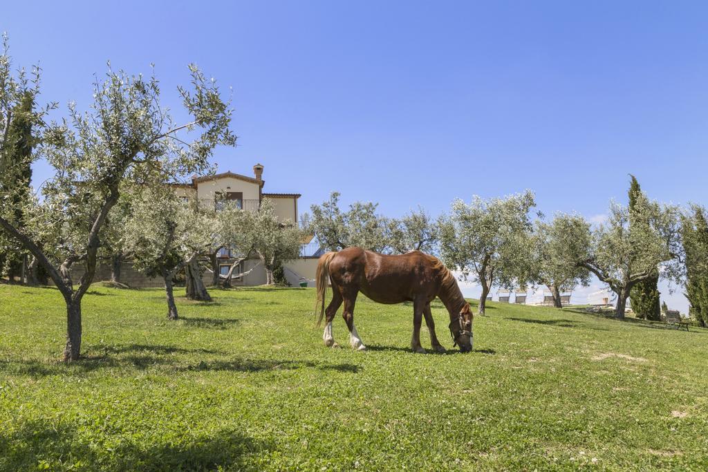 Agriturismo Le Bosche San Marino Bagian luar foto