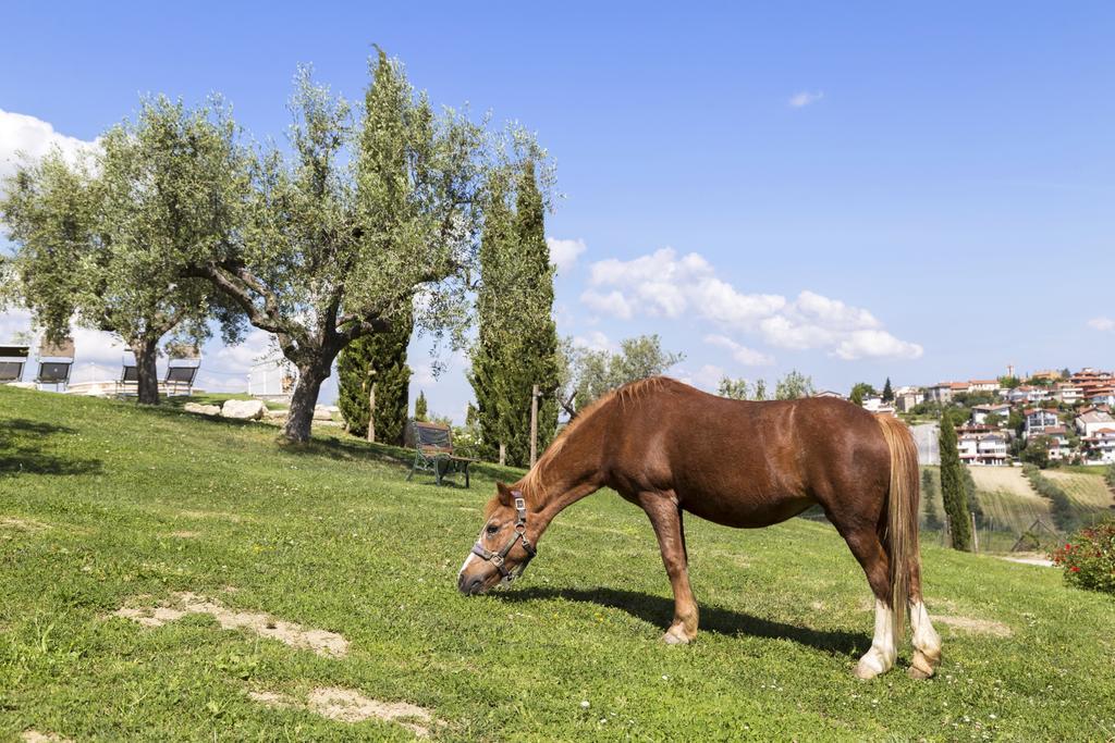 Agriturismo Le Bosche San Marino Bagian luar foto