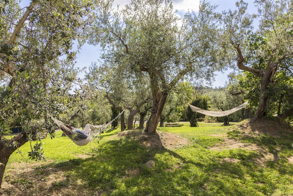 Agriturismo Le Bosche San Marino Bagian luar foto