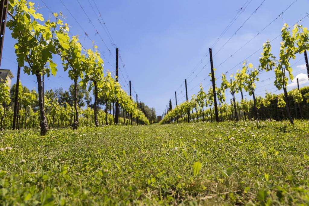 Agriturismo Le Bosche San Marino Bagian luar foto